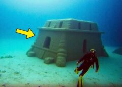 Diver Finds Strange Structure on Ocean Floor – Then Discovers the Terrifying Reason It Was Built